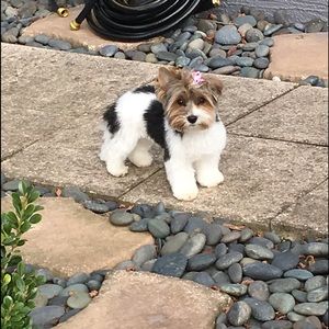 Meet your Posher, Lynne